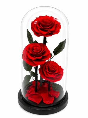 #RP05- Rosas preservadas 30 cm en cúpula