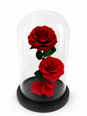 #RP04- Rosas preservadas 25 cm en cúpula
