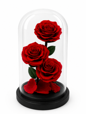 #RP03- Rosas preservadas 20 cm en cúpula