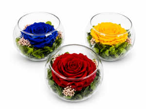 #RP01- Rosa preservada 8cm en Bowl